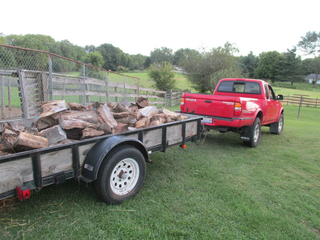 wood.jpg