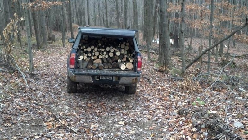 wood1.jpg