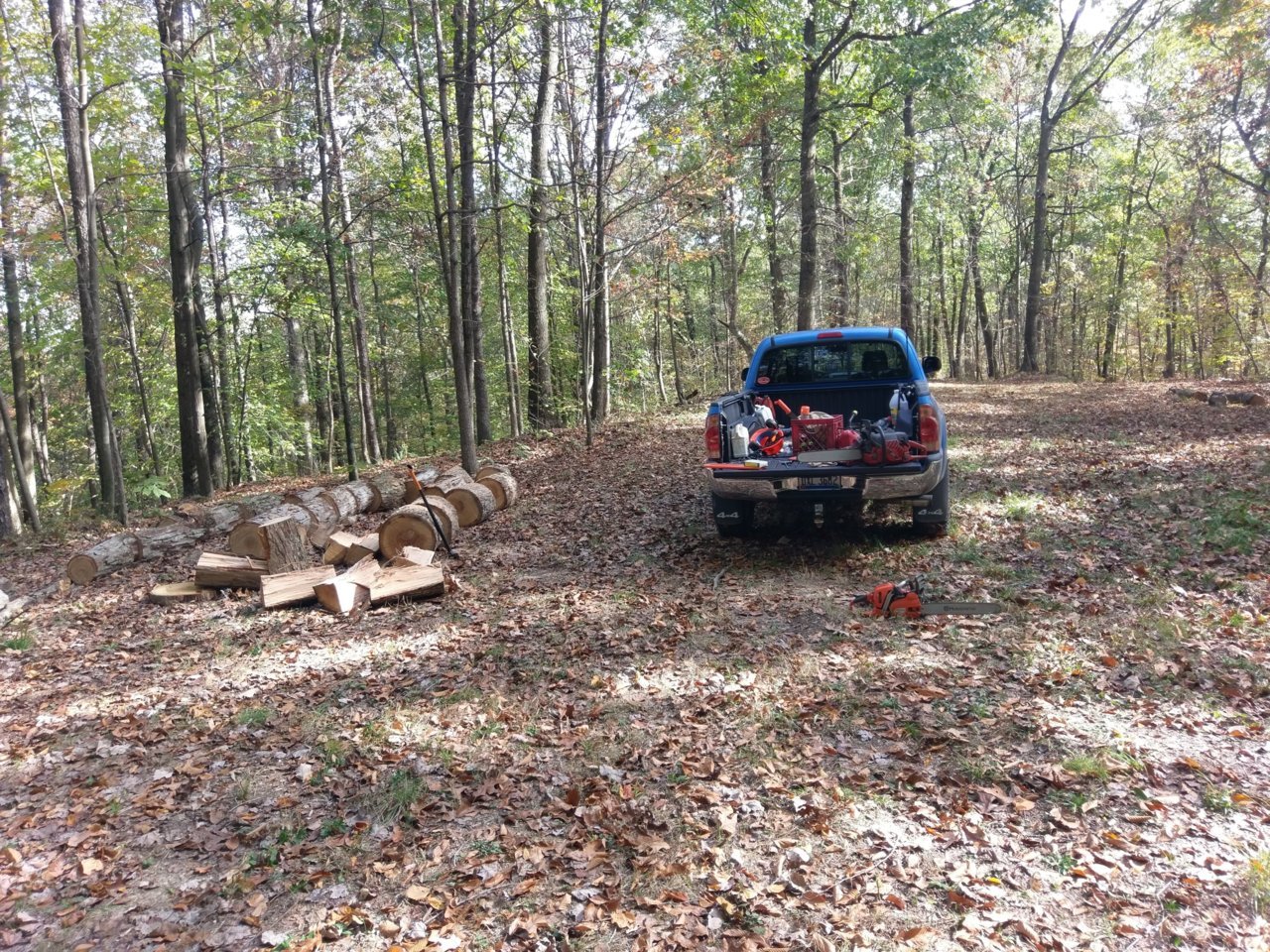 wood2.jpg