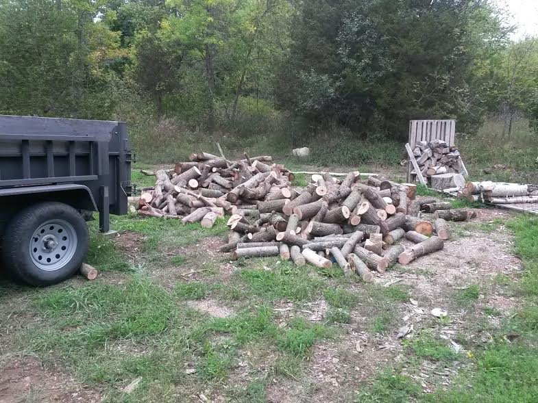 wood_pile_1.jpg