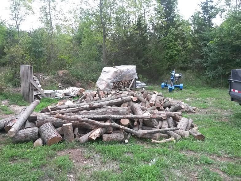 wood_pile_2.jpg