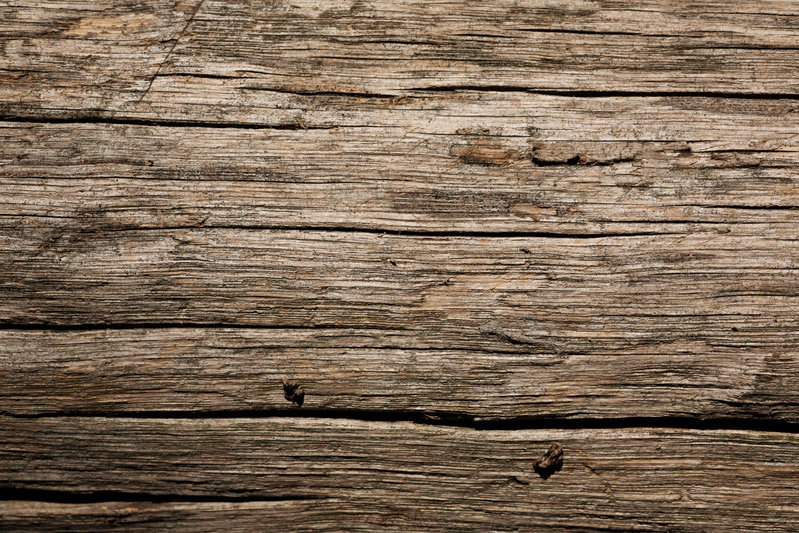 wood_texture3847.jpg