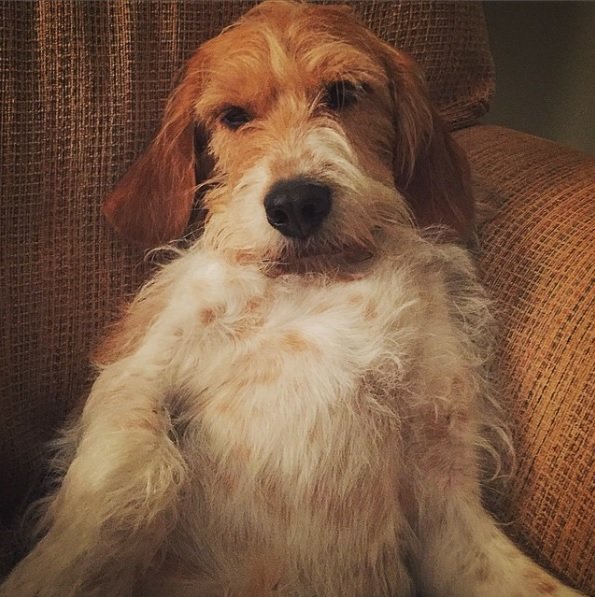 Woodrow_2.jpg