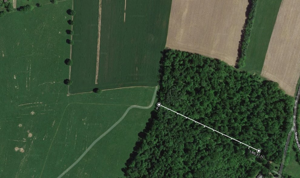 woods.jpg