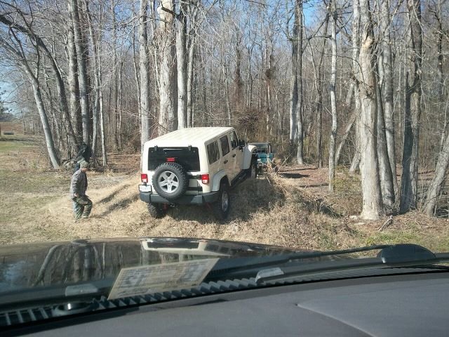 woods4.jpg
