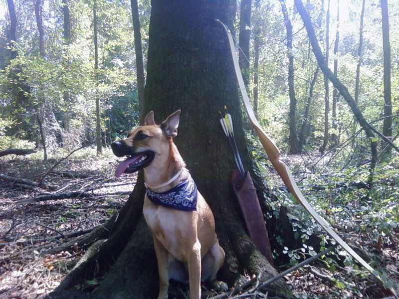 WOODS7_7cc5f3146259081d81796a59868c45476b508c62.jpg