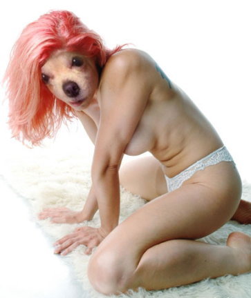 woof.jpg