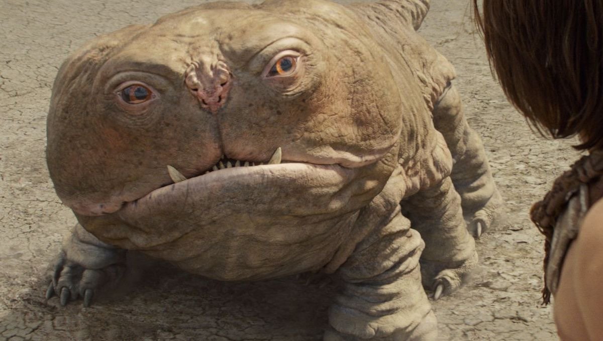 woola.jpg