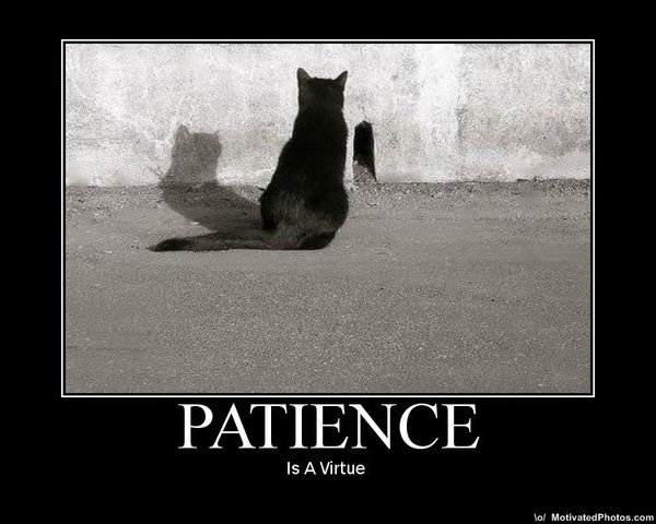 word play-patience is a virtue.jpg