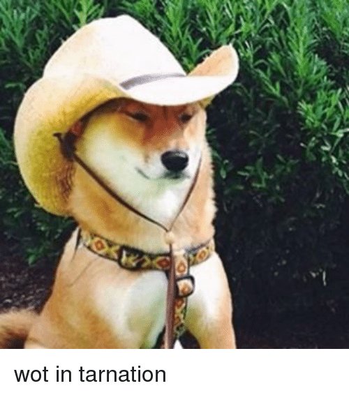 wot-in-tarnation-14000956.jpg