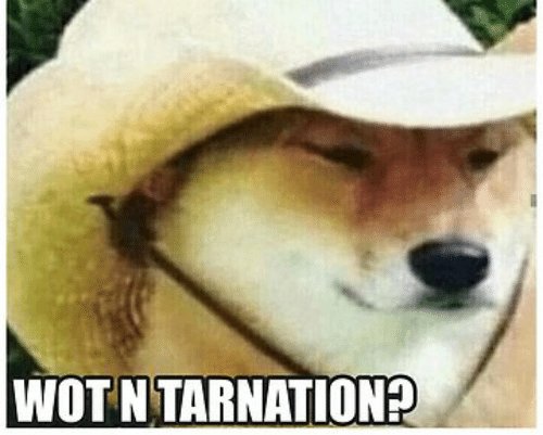 wot-ntarnation-wot-n-tarnation-t-shirt-by-bcshop-redbubble-52010058.jpg