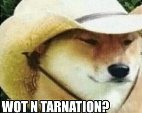 wot-ntarnation-wot-n-tarnation-t-shirt-by-bcshop-redbubble-52010058.jpg