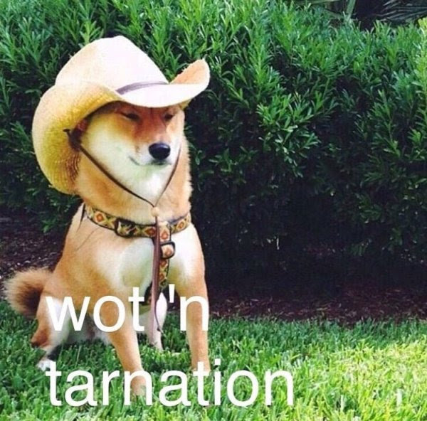 WotNTarnation.jpg