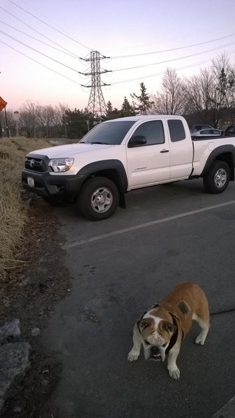 WP_20140306_001.jpg