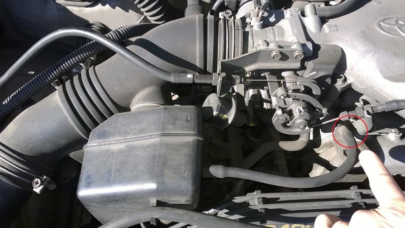 WP_20160127_001.jpg