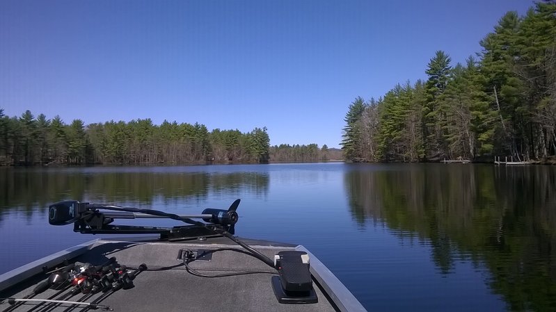 WP_20160510_001.jpg
