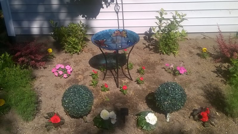 WP_20160612_002.jpg