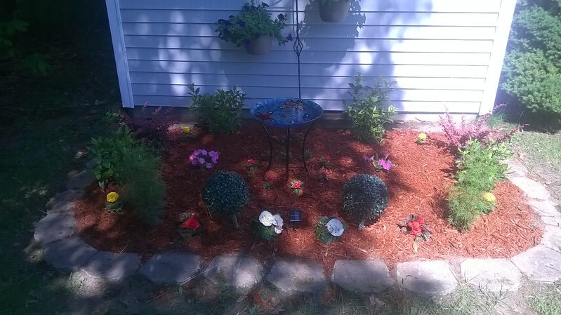 WP_20160612_004.jpg