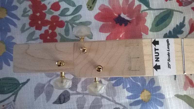 WP_20160702_008.jpg