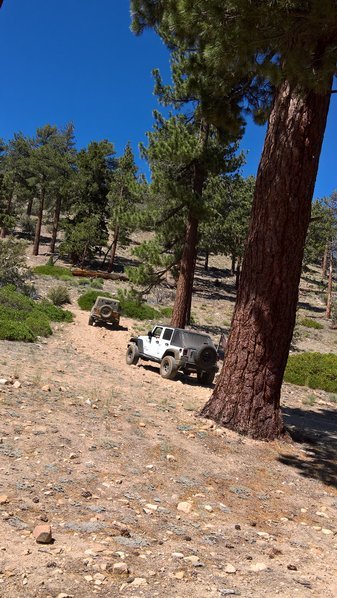 WP_20160716_14_50_54_Rich_LI.jpg