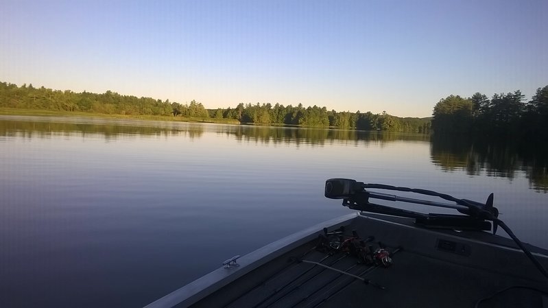 WP_20160807_001.jpg