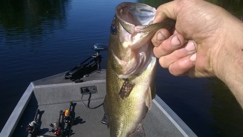WP_20160807_003.jpg