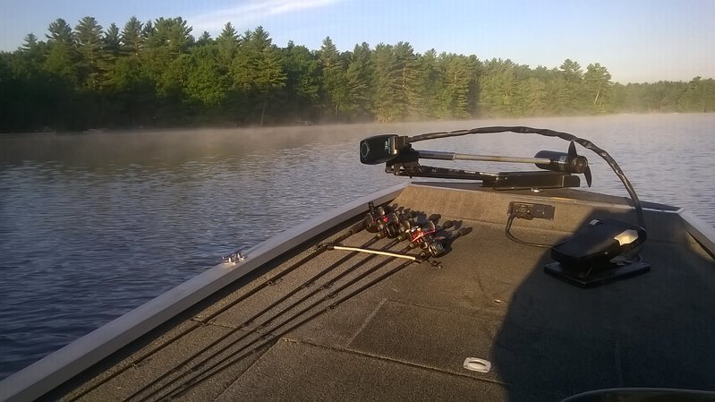 WP_20160821_001.jpg