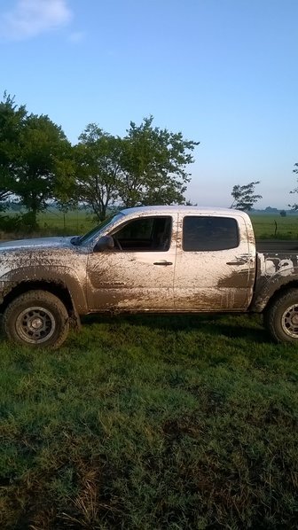 WP_20160828_08_00_55_mud 1.jpg