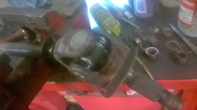 WP_20161105_003.jpg
