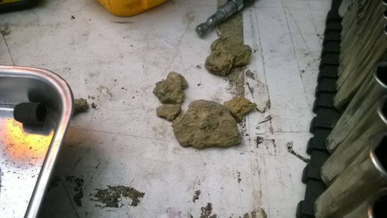 WP_20161119_001.jpg