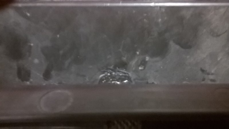 WP_20161222_001.jpg