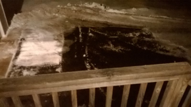 WP_20170125_003.jpg