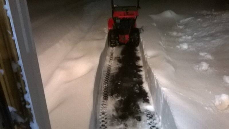 WP_20170209_001.jpg