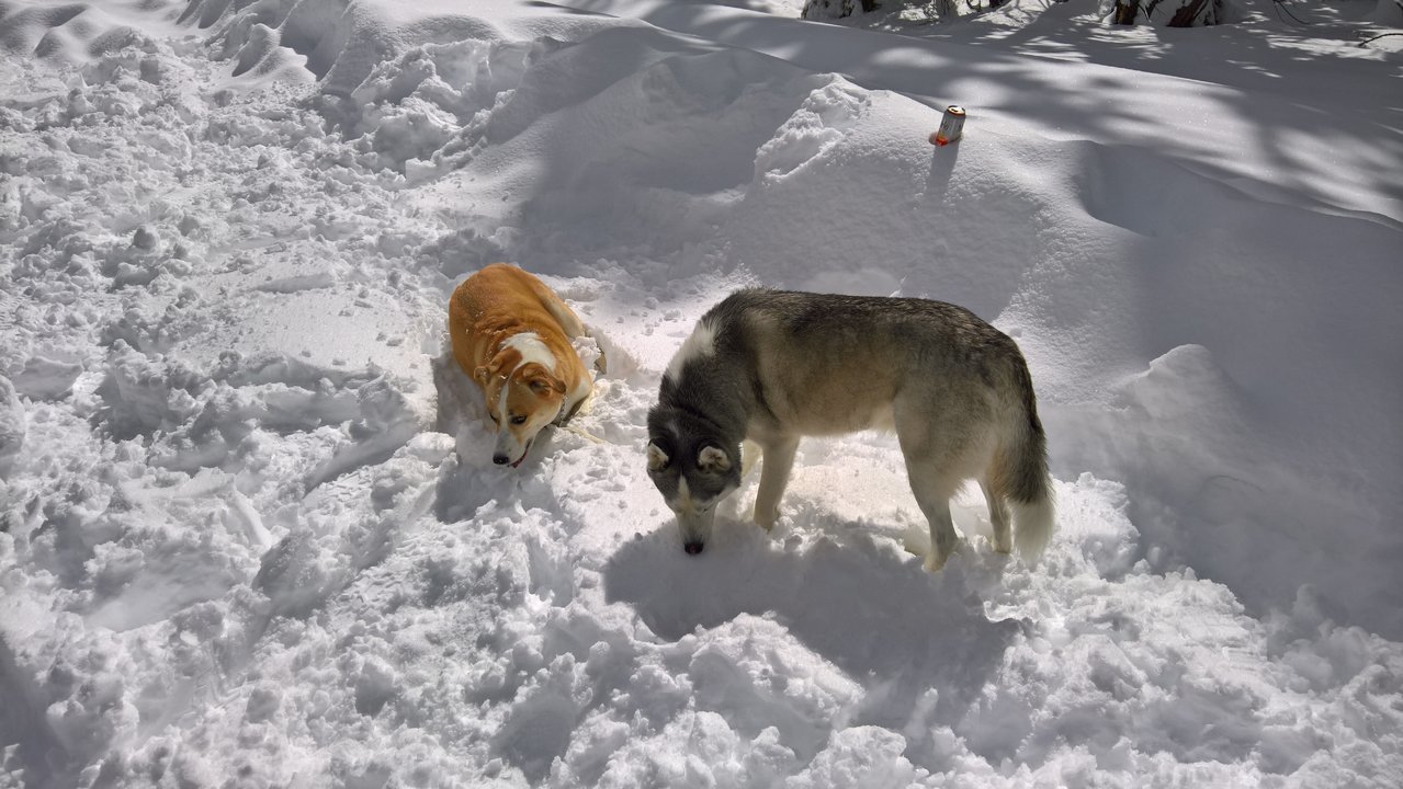 WP_20180304_11_18_14_Pro.jpg