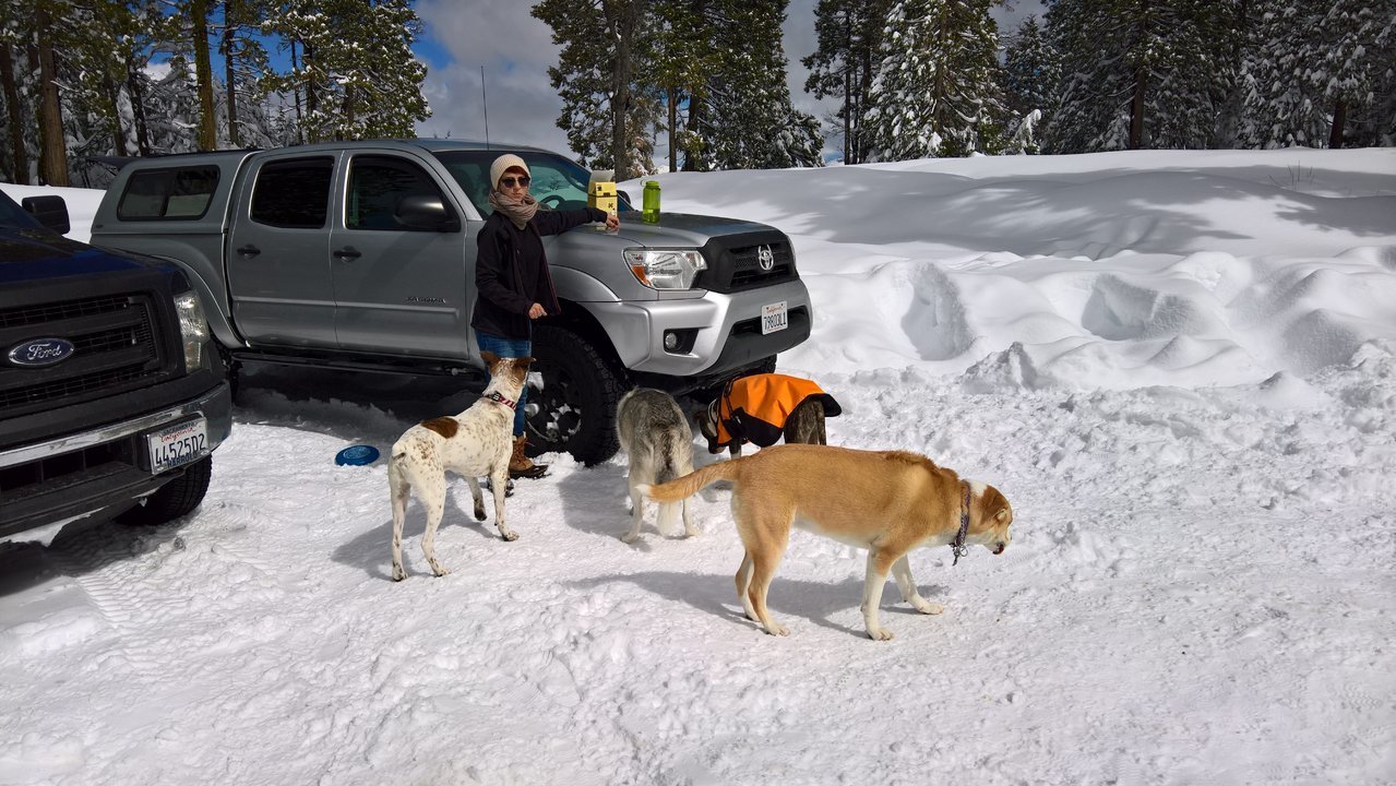 WP_20180304_11_27_27_Pro.jpg