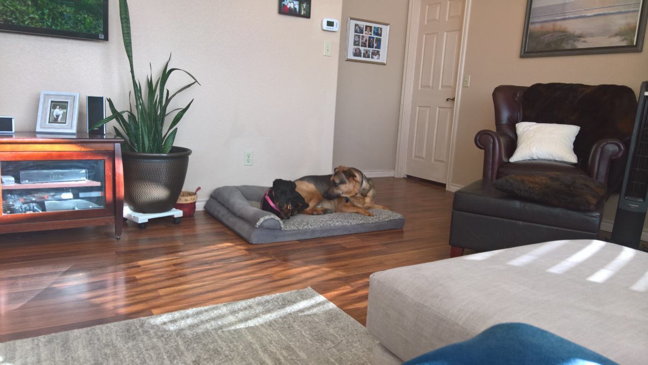 WP_20180414_17_41_30_Pro.jpg