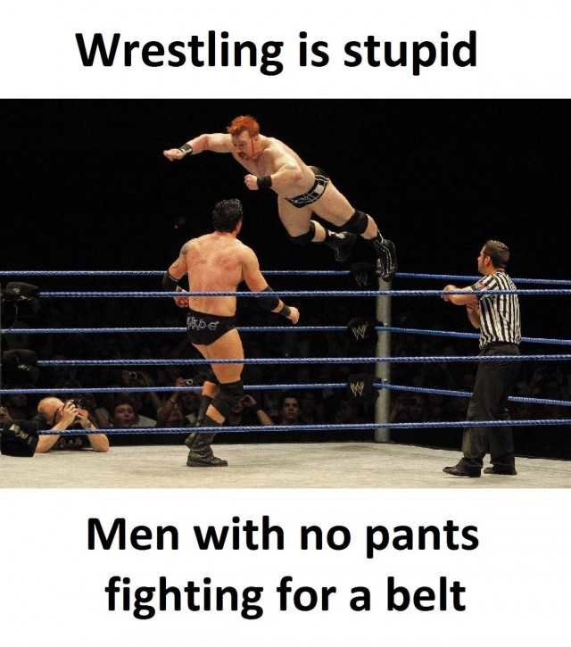 wrestling-is-stupid-men-with-no-pants-fighting-for-a-belt-Iwp7T.jpg