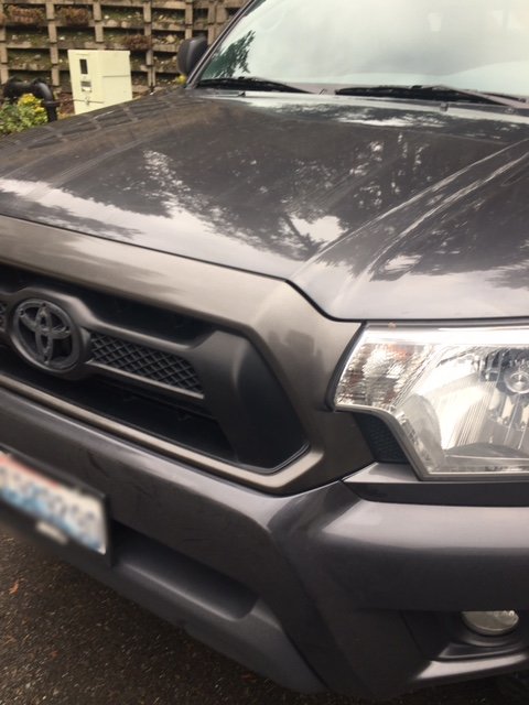 wrong color grill.jpg