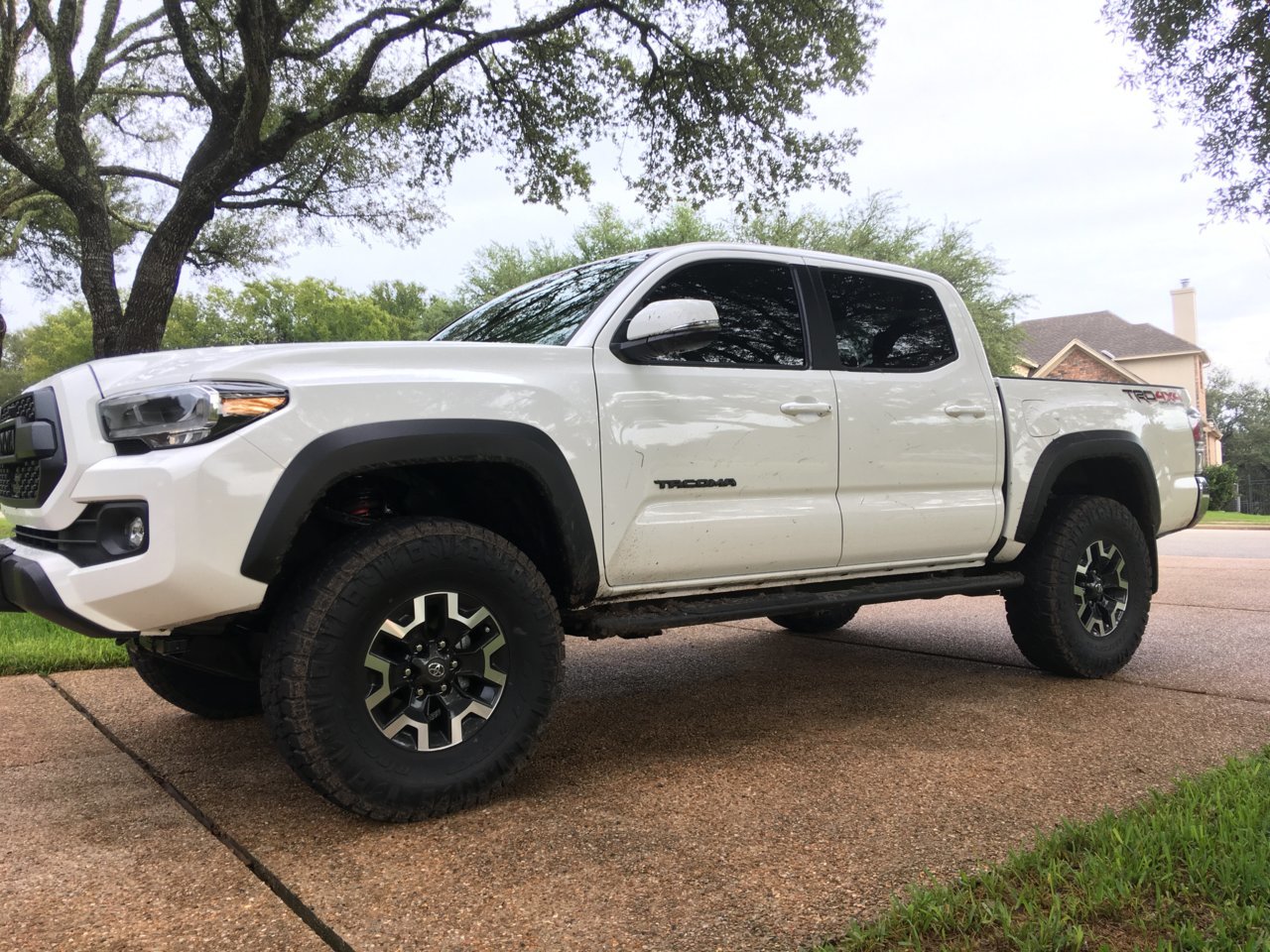 WSC Taco 9-1-22.jpg