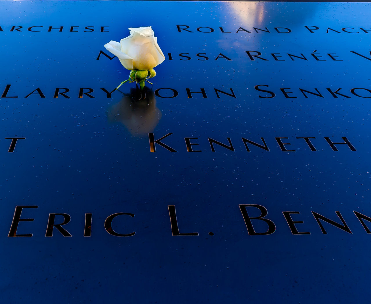 WTC_Rose_Memorial.jpg