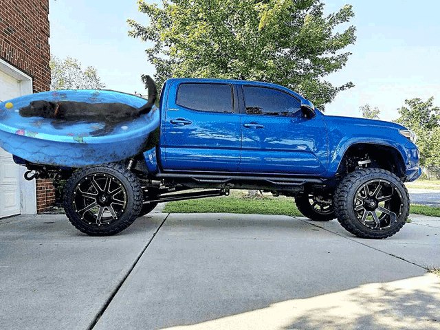 wtf-2nd-gen.jpg