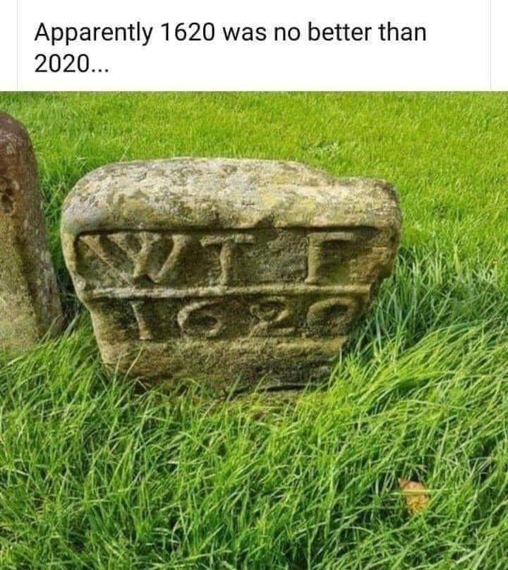 wtf.jpg