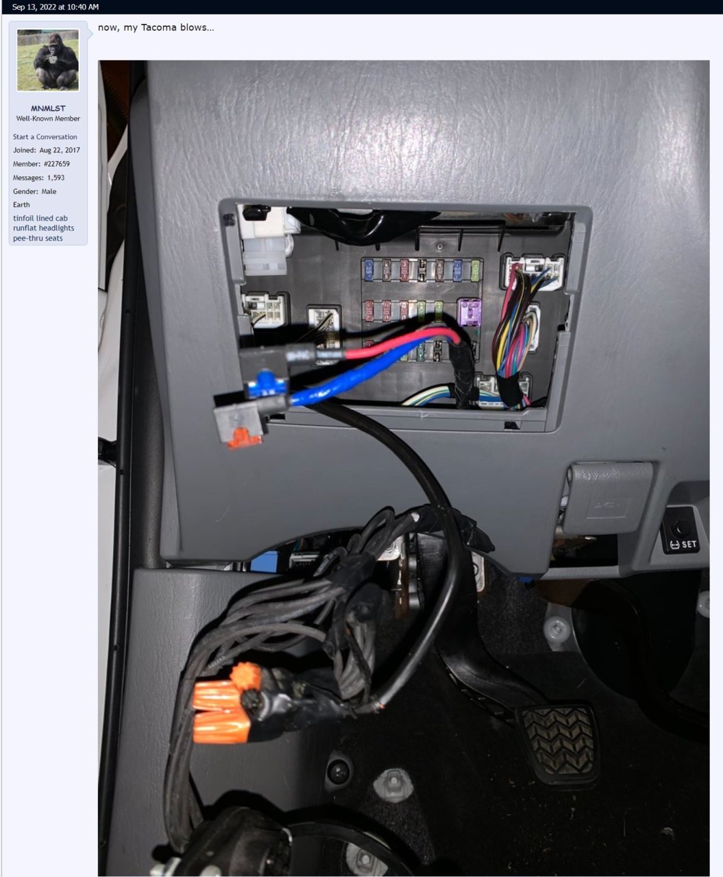 WTF.jpg
