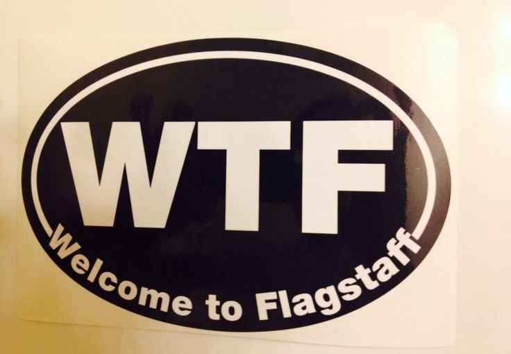 WTF.jpg