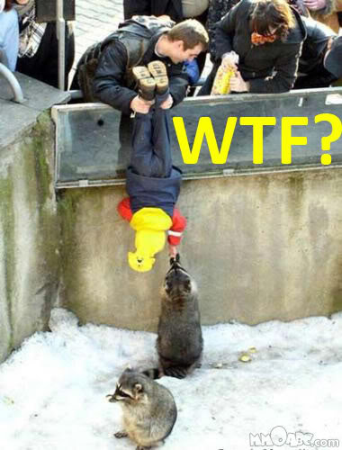 WTF1_16c94991857f9d109e0dede68d0445bba1bcd50d.jpg