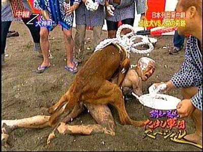 WTF_0a9402eb17a4be4fc1bd704f9004e683246b36df.jpg