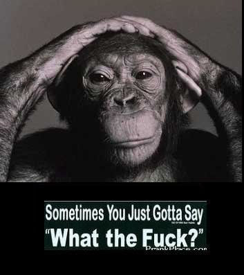 WTF_23e32799e4842b371301197dc06da860bc5458e8.jpg