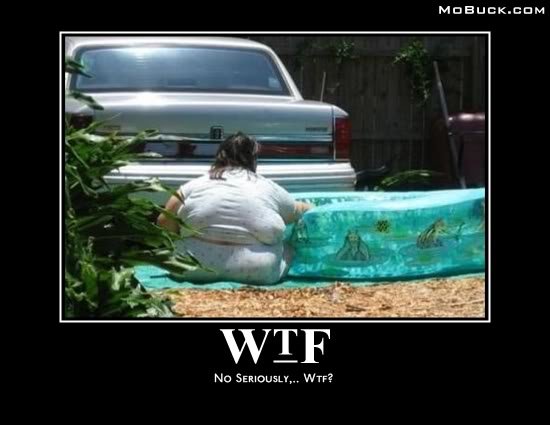 wtf_26acfa30023b9394fc39489d3c77c65826c8f7b8.jpg