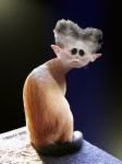 wtf_8323428244759915d01db8fa75bf0cd3c2d3e186.jpg