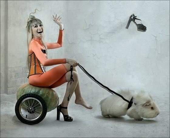 wtf_8e47c670be3d8e6309a5ea73382e1126aab6a00f.jpg